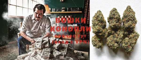 PSILOCYBIN Дмитриев