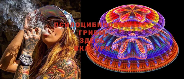 PSILOCYBIN Дмитриев