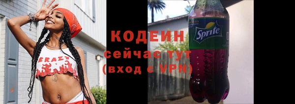 PSILOCYBIN Дмитриев