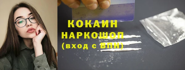 соль ск Дмитровск
