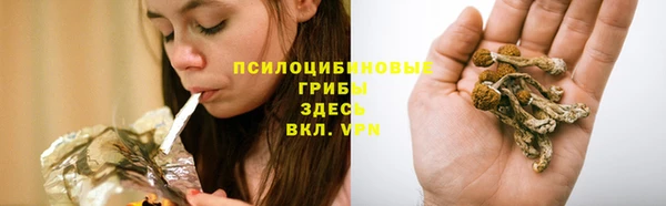 хмурый Дмитров