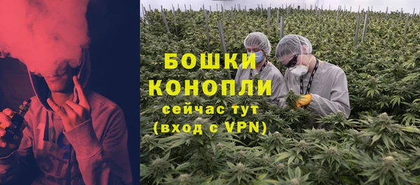 соль ск Дмитровск