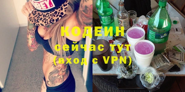 хмурый Дмитров