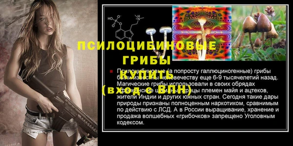 герыч Гусь-Хрустальный