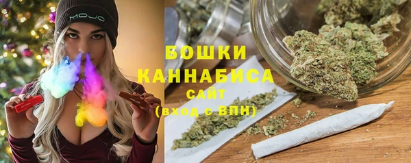 PSILOCYBIN Дмитриев