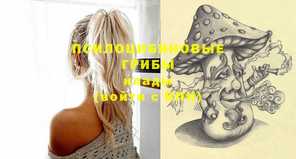 PSILOCYBIN Дмитриев