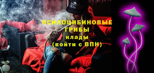 PSILOCYBIN Дмитриев