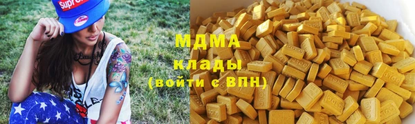 PSILOCYBIN Дмитриев
