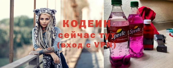 хмурый Дмитров