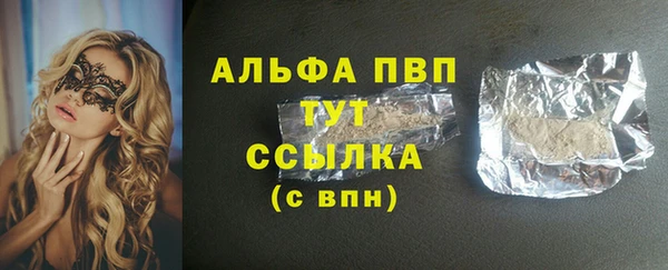 PSILOCYBIN Дмитриев