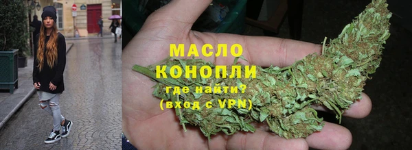 хмурый Дмитров