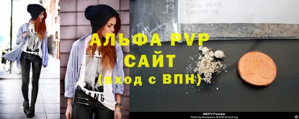 хмурый Дмитров