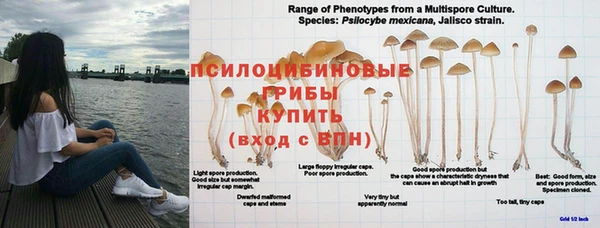 соль ск Дмитровск