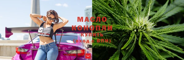 хмурый Дмитров