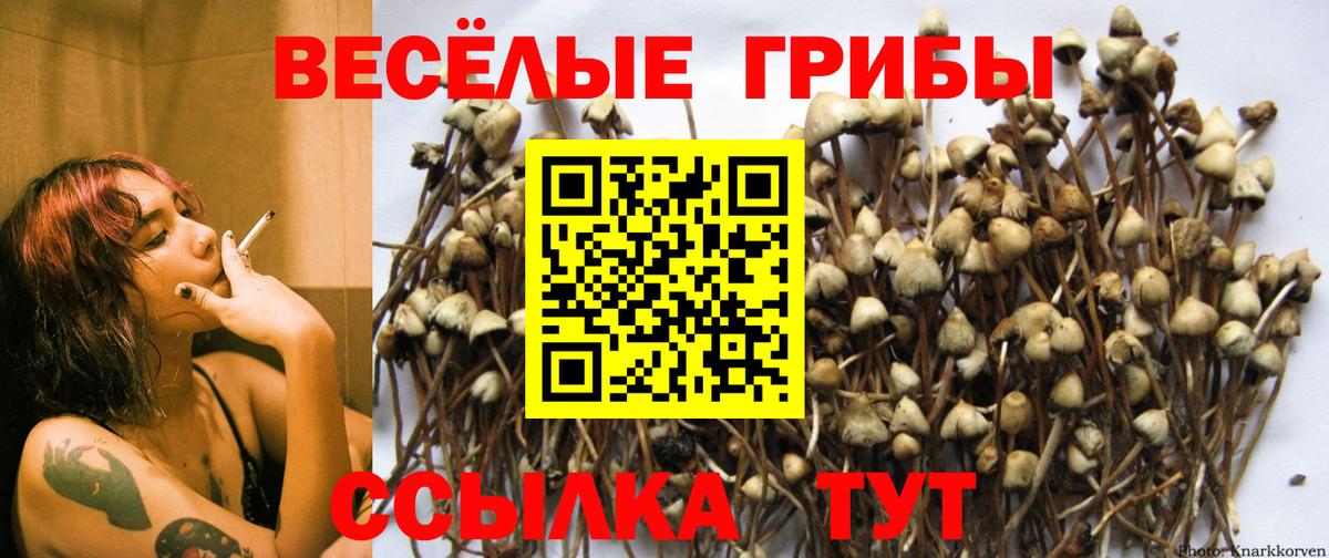 Псилоцибиновые грибы Magic Shrooms Слободской