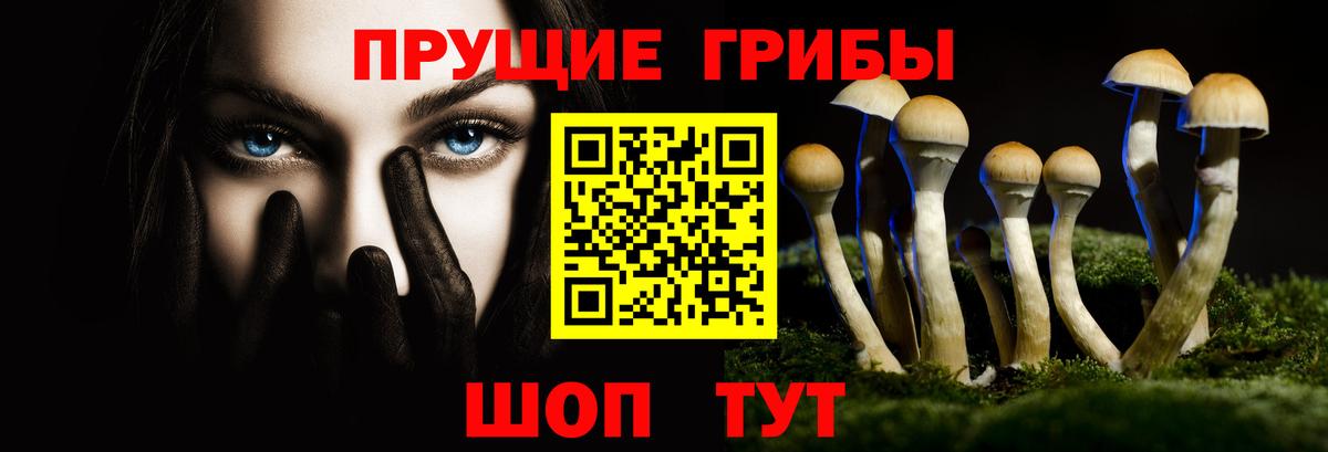 Галлюциногенные грибы прущие грибы  Псилоцибиновые грибы Psilocybine cubensis  Вход с VPN  Слободской 